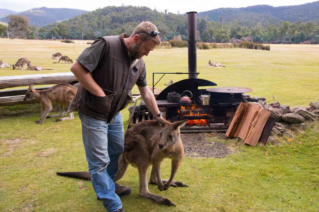 Tasmania Animal Experience - Kangaroos on tour with Pepper Bush Adventures - Forester Kangaroos - Yoda the Roo with Ben