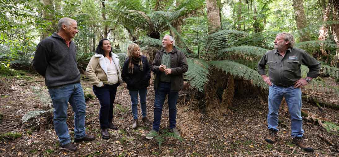 4 people and Pepper Bush guide visiting the Tasmanian forests on the Waterfalls & Rainforest day trip