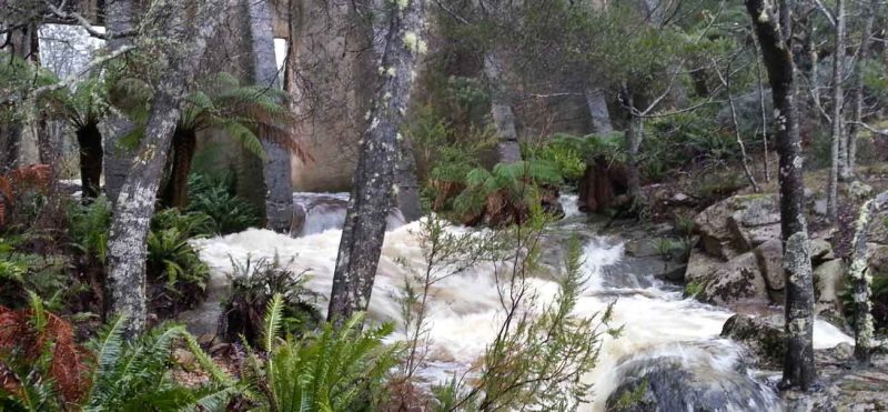 Mt Paris Dam - Water flowing through the dam walls - Tasmanian Rainforests and Waterfalls - Pepper Bush Adventures