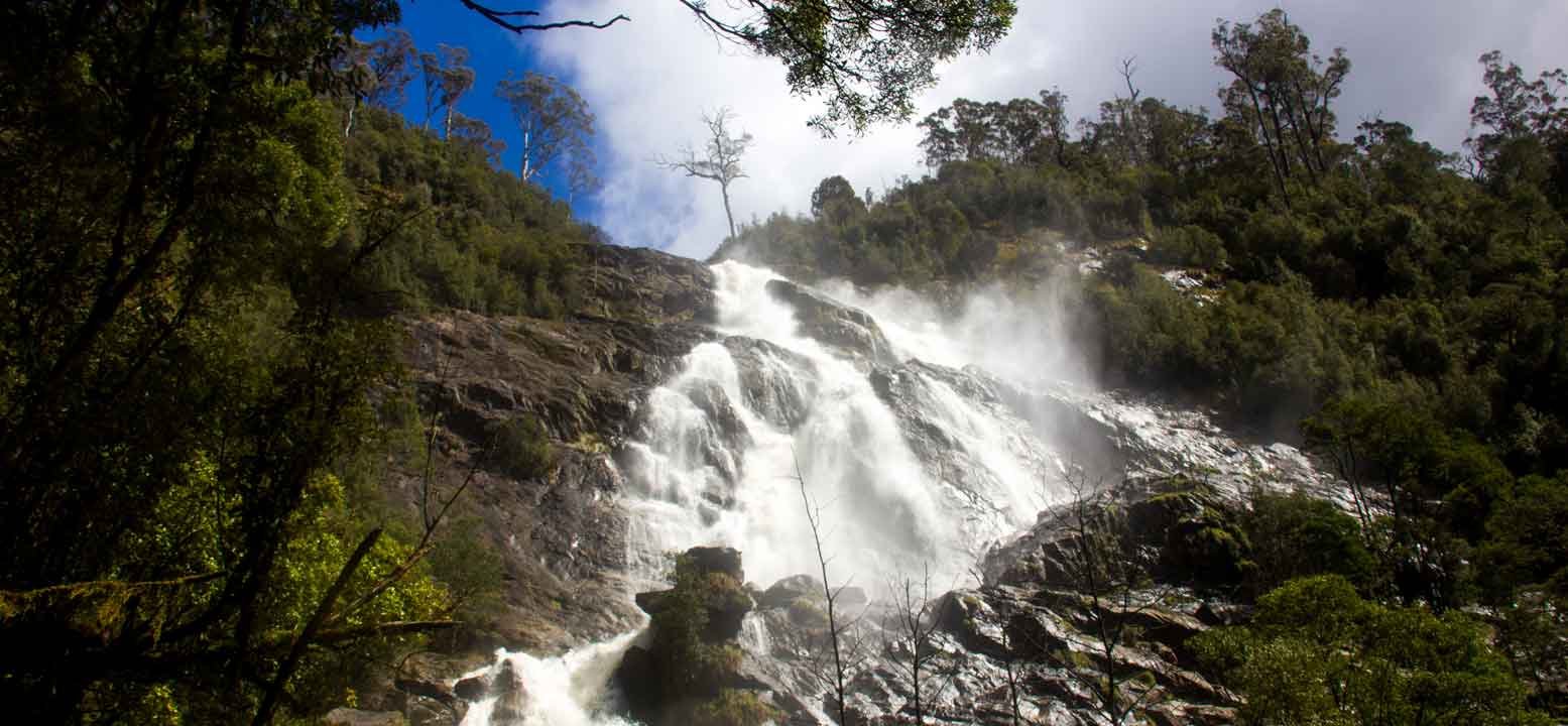 St Columba Falls - water flowing over the falls - Waterfalls in Tasmania - Pepper Bush Adventures - wildlife and rainforest tour