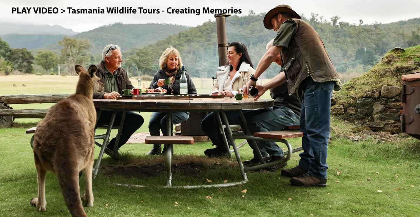 Kangaroo joining guests at the outdoor dining table - Pepper Bush Adventures