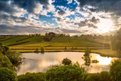 Josef Chromy Vineyards - looking over the pond to the vineyards