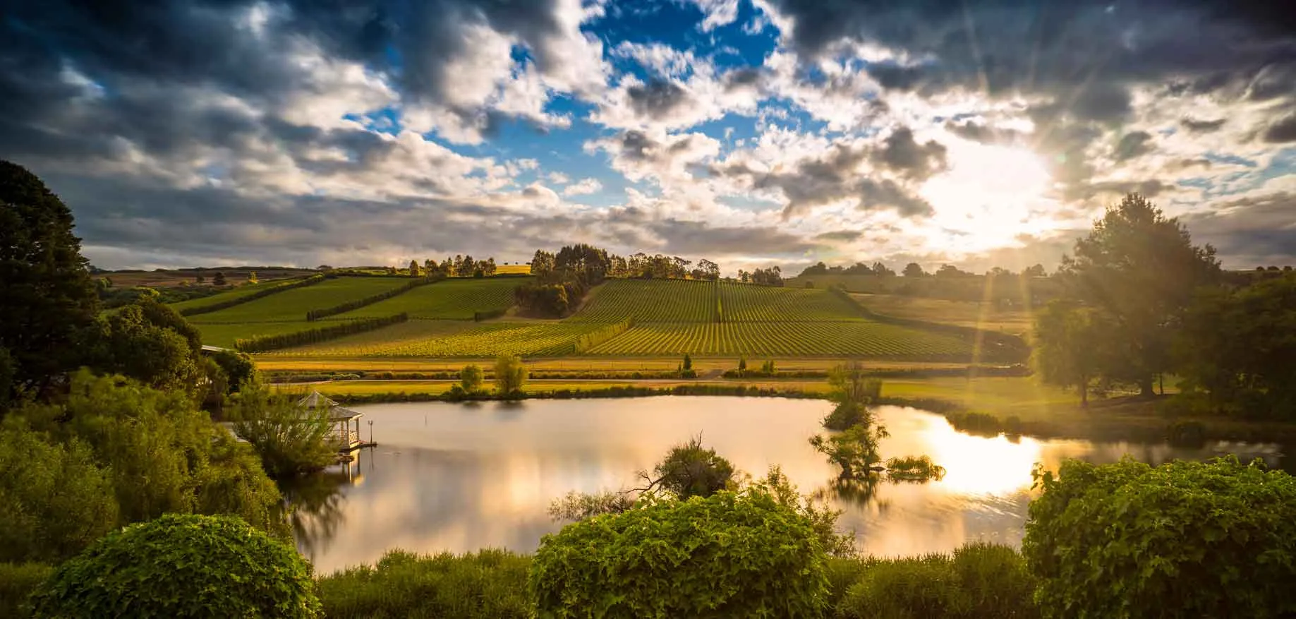 Josef Chromy Vineyards - looking over the pond to the vineyards