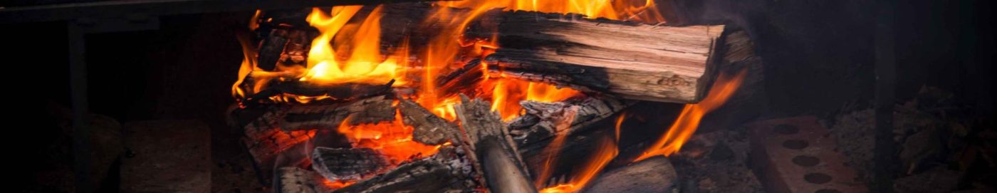 Tasmania Nocturnal Tour Camp Fire