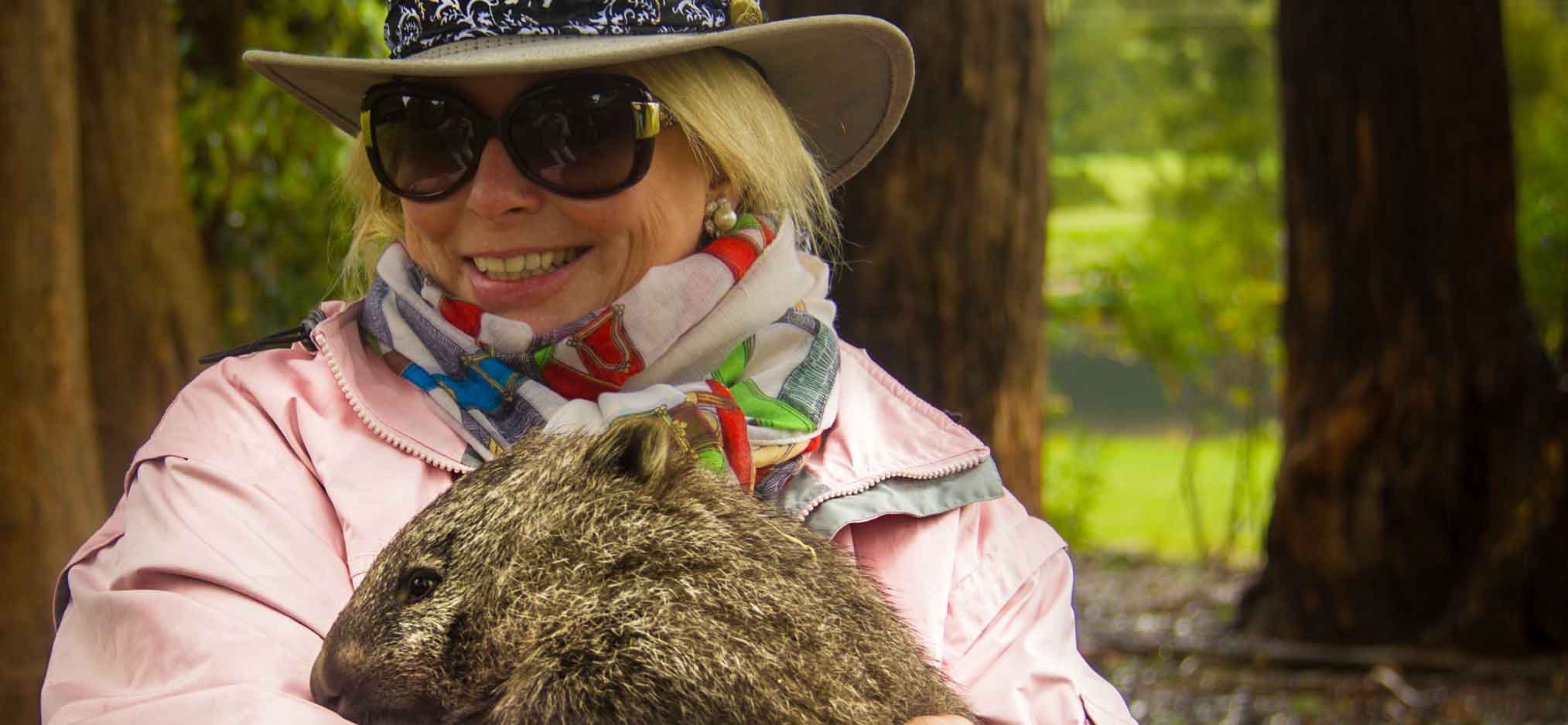 Wombat cuddle in Tasmania
