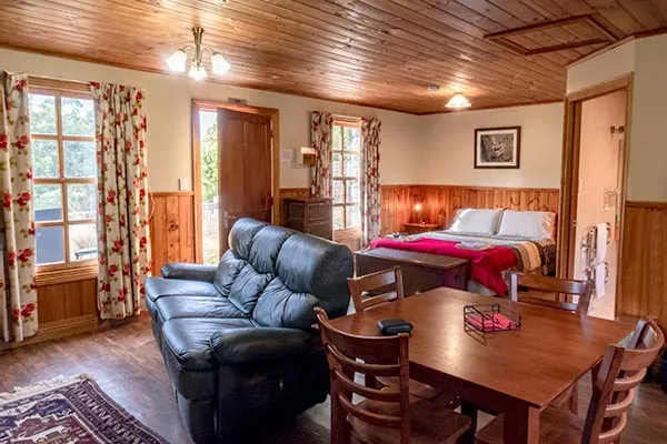 Tin Dragon Trail Cottages - interior of Ah Back Cottage
